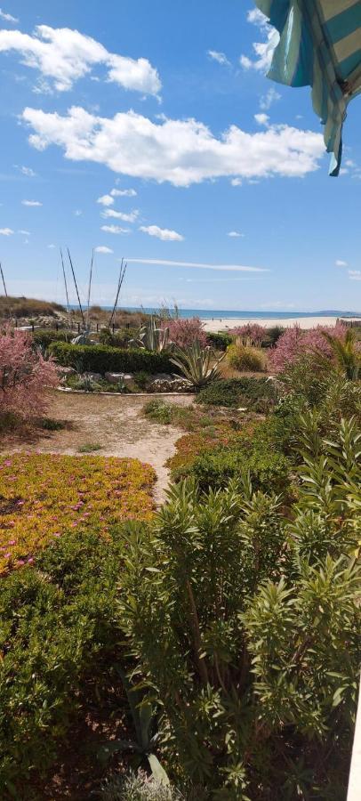 מוגויו T3 Carnon, 1Ere Ligne 50M Plage Terrasse Parking מראה חיצוני תמונה